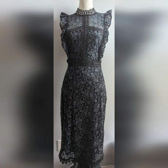 EUC...Beautiful Zara Guipure Lace Dress (with whimsy/goth vibes)  Size Small - Picture 2 of 13